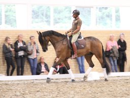 IMG_1554_web